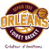 奥尔良 队徽